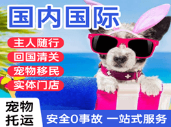 乌鲁木齐航空快运国际宠物托运 【国